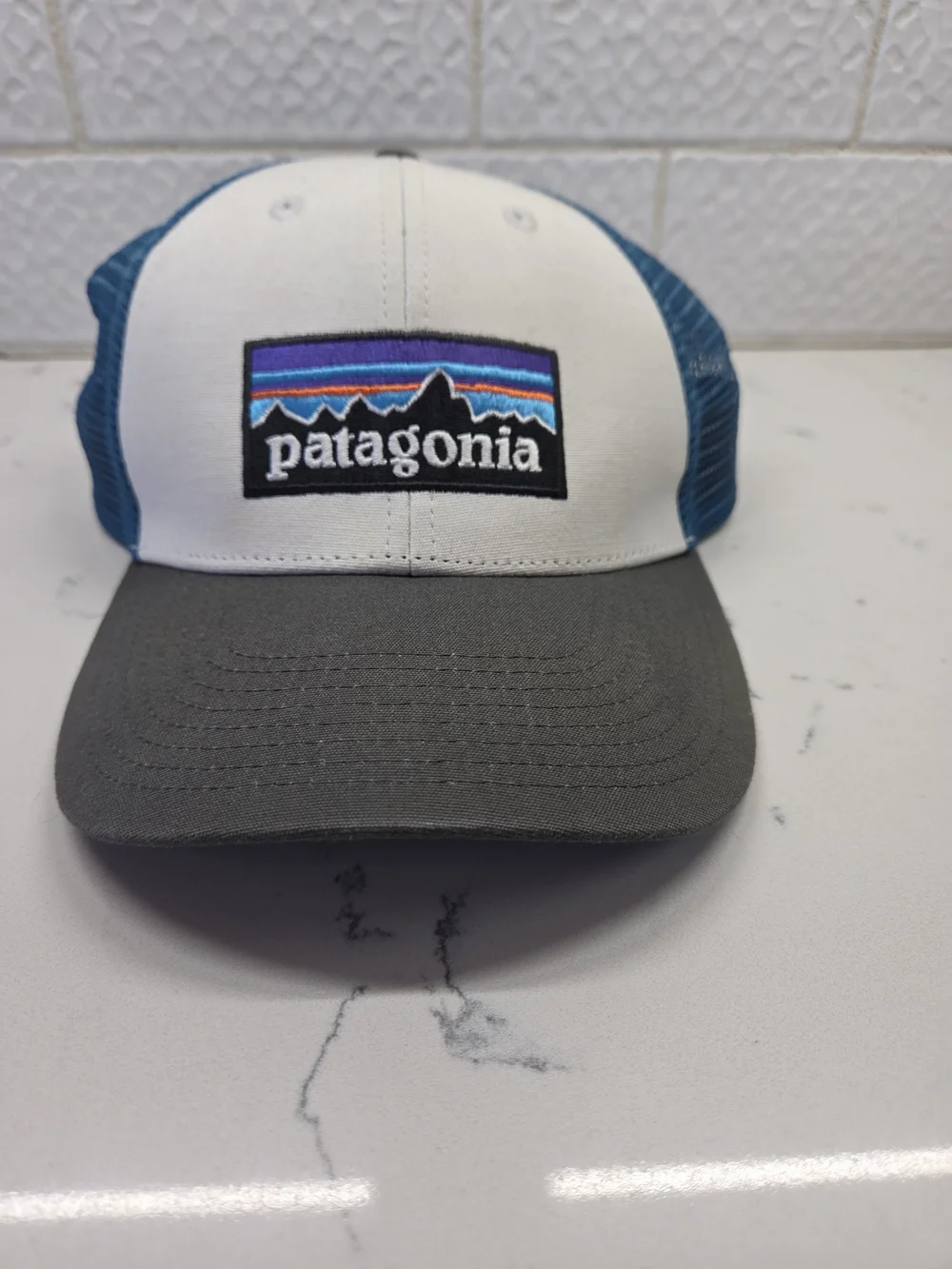 Patagonia P-6 Logo LoPro Trucker Hat - Blue & White